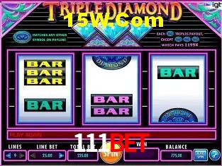 Security Systems 111bet